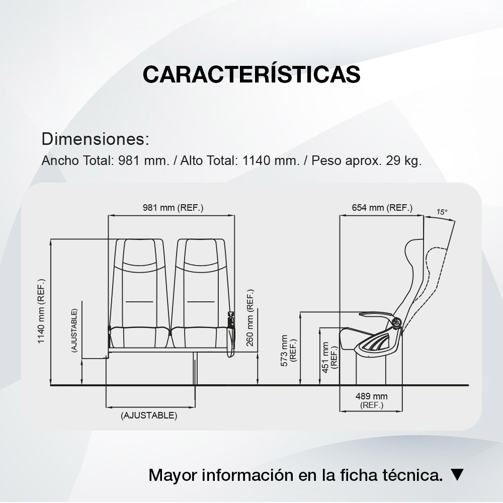 Diagrama Asiento Pioneer Vip